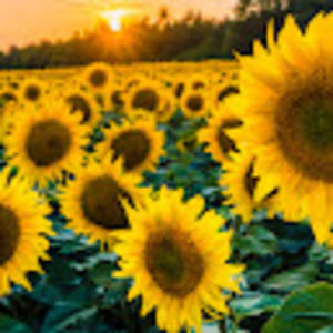 Meet your Posher, Larissa